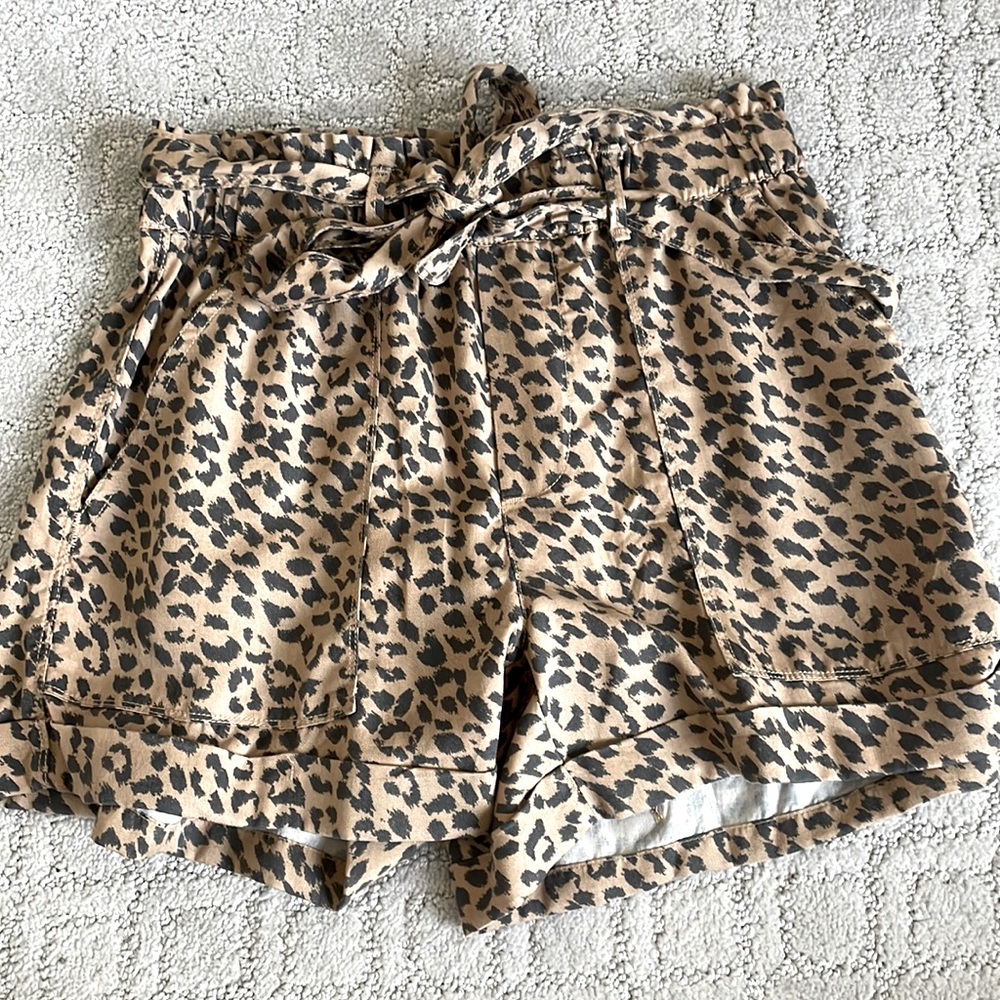 Aerie shorts